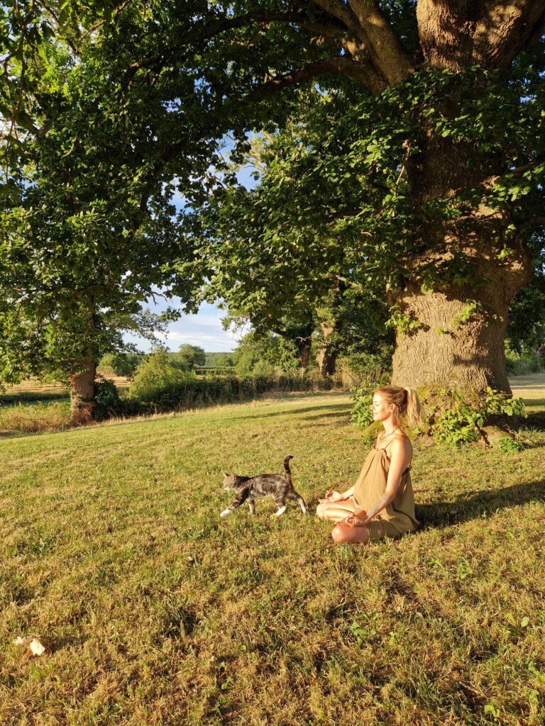 74fed460-6eb2-45cd-a5e5-d8fe878d24fd